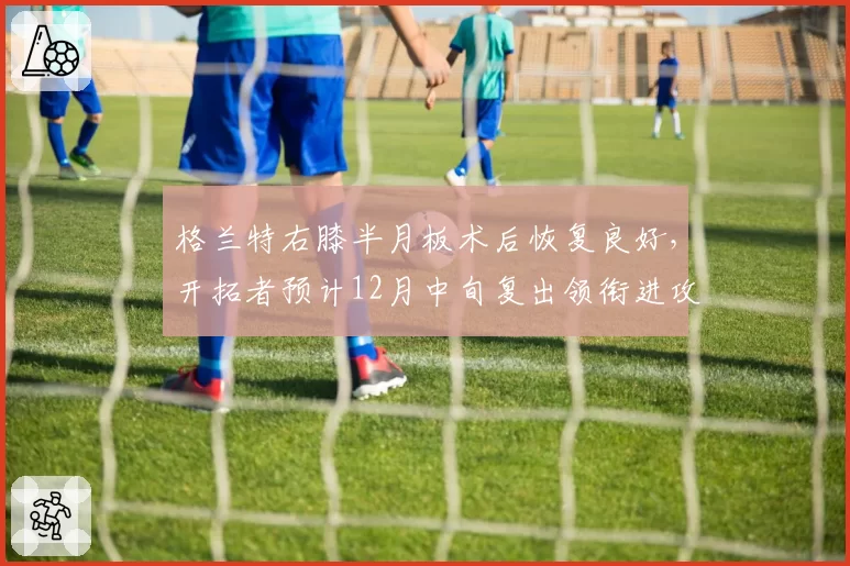 格兰特右膝半月板术后恢复良好,开拓者预计12月中旬复出领衔进攻