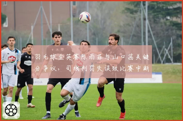 羽毛球全英赛陈雨菲与山口茜关键分争议,司线判罚失误致比赛中断